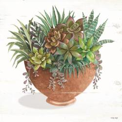 Terracotta Succulents II | Obraz na stenu