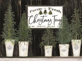 Farm Fresh Christmas Trees | Obraz na stenu