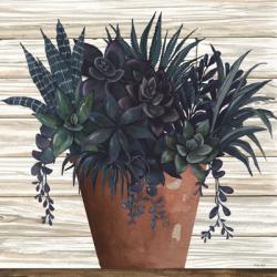 Remarkable Succulents II | Obraz na stenu