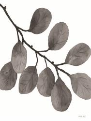 Leaves in Gray I | Obraz na stenu