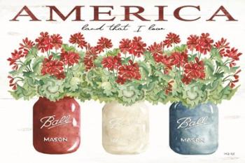 America Glass Jars | Obraz na stenu