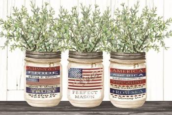 Patriotic Glass Jar Trio I | Obraz na stenu