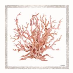 Pink Coastal Coral I | Obraz na stenu