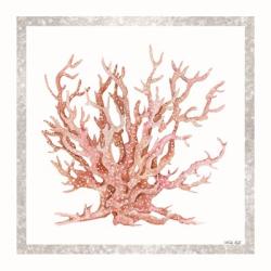 Pink Coastal Coral II | Obraz na stenu