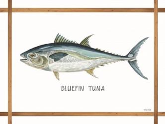 Bluefin Tuna on White | Obraz na stenu