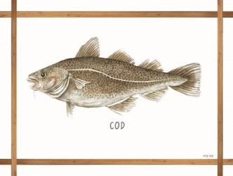 Cod on White | Obraz na stenu