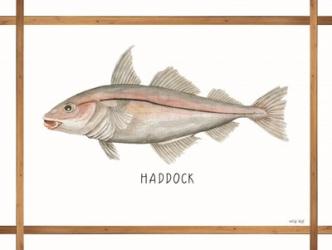 Haddock on White | Obraz na stenu