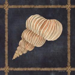 Seashell on Navy III | Obraz na stenu