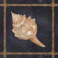Seashell on Navy IV | Obraz na stenu