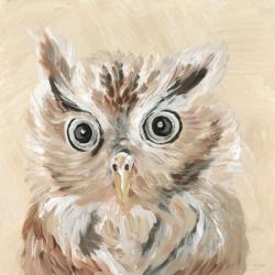 Willow the Owl | Obraz na stenu