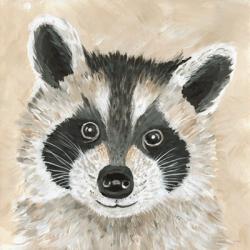 Roxie the Raccoon | Obraz na stenu
