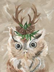 Christmas Owl | Obraz na stenu