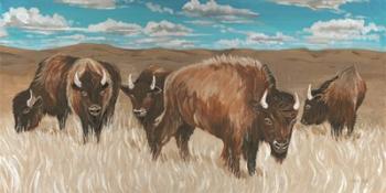 Bison Herd I | Obraz na stenu