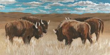 Bison Herd II | Obraz na stenu
