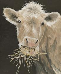 Hangry Cow | Obraz na stenu
