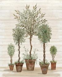 Potted Tree Collection | Obraz na stenu