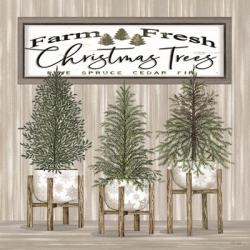 Potted Christmas Trees | Obraz na stenu