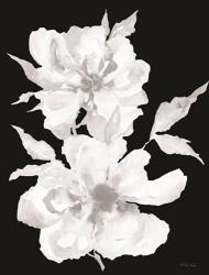 Black & White Flowers I | Obraz na stenu