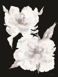Black & White Flowers II | Obraz na stenu