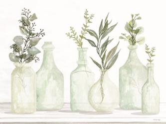 Bottles and Greenery I | Obraz na stenu