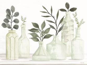 Bottles and Greenery II | Obraz na stenu