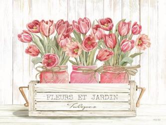Trio of Pink Tulips | Obraz na stenu