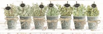 Herbs in a Row | Obraz na stenu