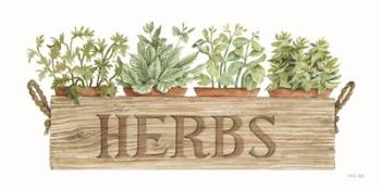 Crate of Herbs | Obraz na stenu