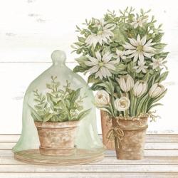 Flowers and Terrarium | Obraz na stenu