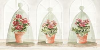 Garden Cloche Trio II | Obraz na stenu