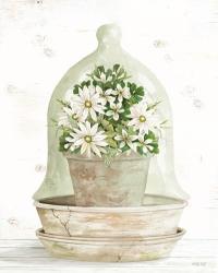 Floral Cloche II | Obraz na stenu