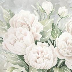 Peaceful Peonies | Obraz na stenu