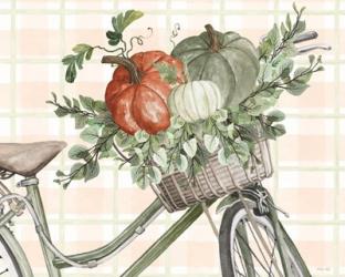 Bountiful Basket on a Bike II | Obraz na stenu