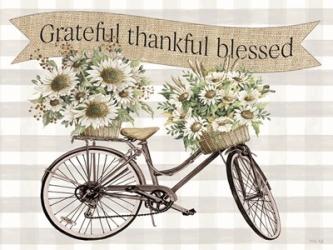 Grateful, Thankful, Blessed Bicycle | Obraz na stenu