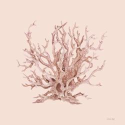 Pink Coral I | Obraz na stenu