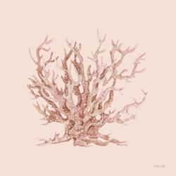Pink Coral II | Obraz na stenu