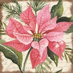 Pink Poinsettia Botanical | Obraz na stenu