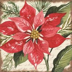 Red Poinsettia Botanical | Obraz na stenu