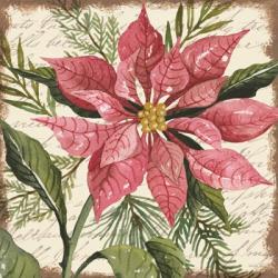 Mauve Poinsettia Botanical | Obraz na stenu