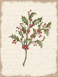 Holly Christmas Botanical | Obraz na stenu