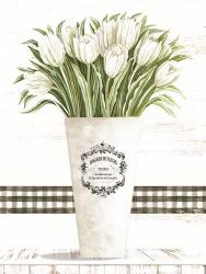 White Tulips | Obraz na stenu