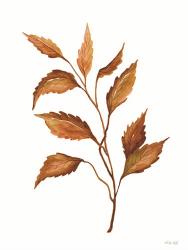 Fall Leaf Stem IV | Obraz na stenu