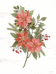 Poinsettia Christmas Botanical | Obraz na stenu