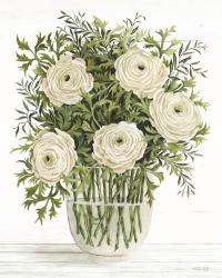 Ranunculus on White | Obraz na stenu