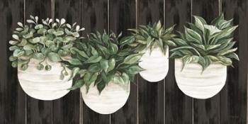 Potted Plants on Barnwood | Obraz na stenu