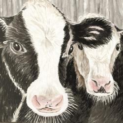 Farm Cows | Obraz na stenu