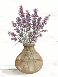 Honeybloom Lavender II | Obraz na stenu