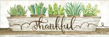 Thankful Succulent Pots | Obraz na stenu