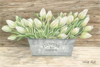 Flowers & Garden Tulips | Obraz na stenu