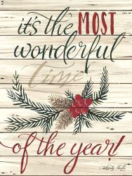 The Most Wonderful Time | Obraz na stenu